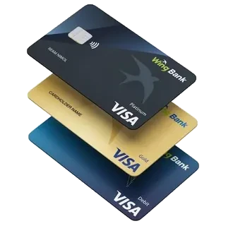 Visa payment method